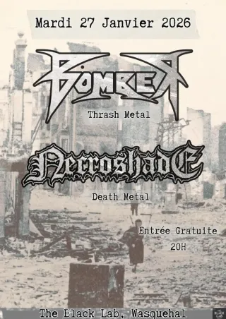 Poster for Bomber + Necroshade