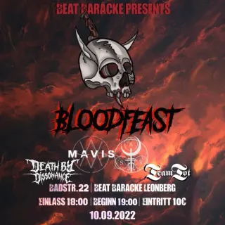 Poster for A Secret Revealed + Death By Dissonance + Mavis + Team Tot