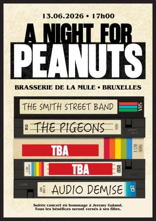 Poster for A Night for the Peanuts