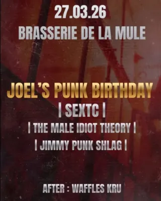 Poster for Joel's Punk Birthday