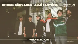 Poster for Allô Fantôme + Choses Sauvages