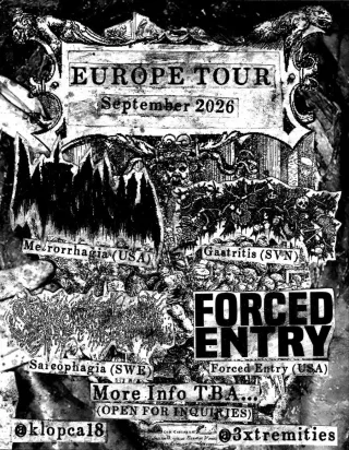 Poster for Forced Entry + Gastritis + Metrorrhagia + Prurit + Sarcophagia + Violent Encounter