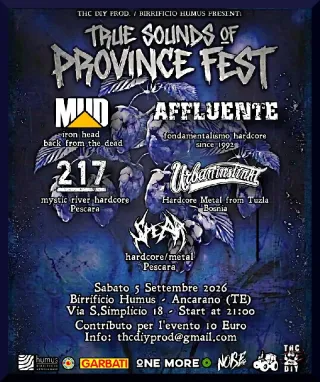 Poster for True Sounds Of Province Fest 2026