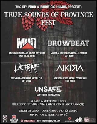 Poster for True Sounds Of Province Fest 2025