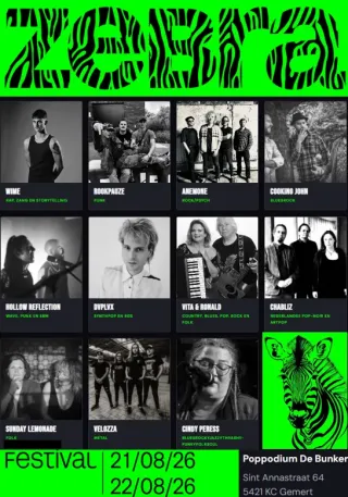 Poster for Zebra Festival