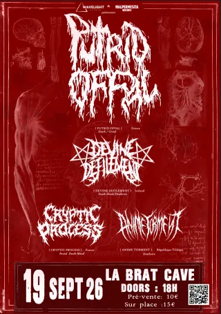 Poster for Putrid Offal + Anime Torment + Cryptic Process + Devine Defilement