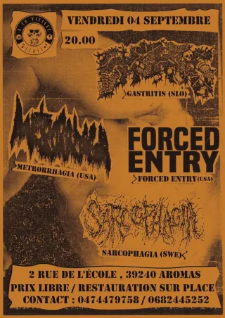 Poster for Forced Entry + Gastritis + Metrorrhagia + Sarcophagia
