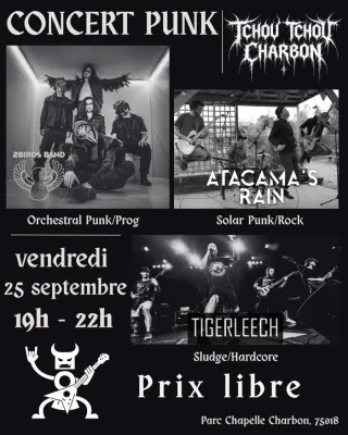 Poster for 2 Birds + Atacama's Rain + Tigerleech