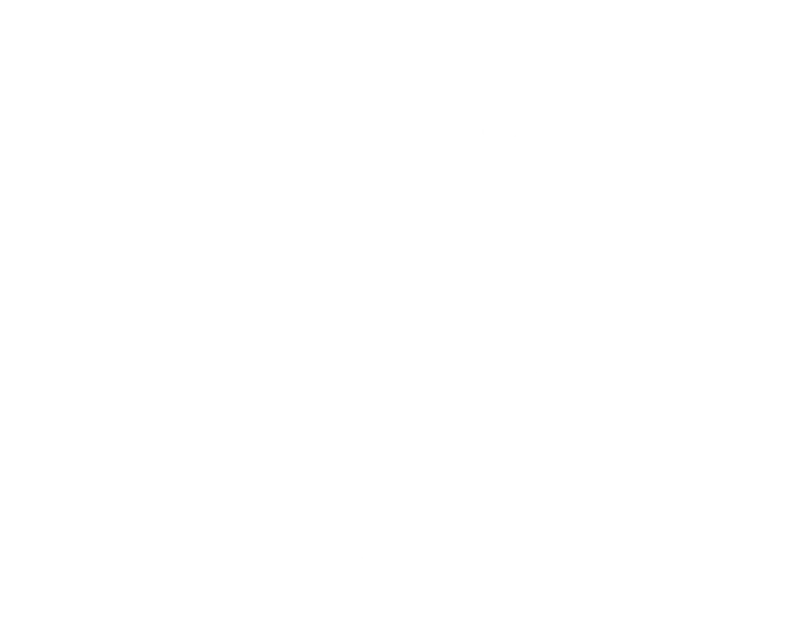 logo Satyam